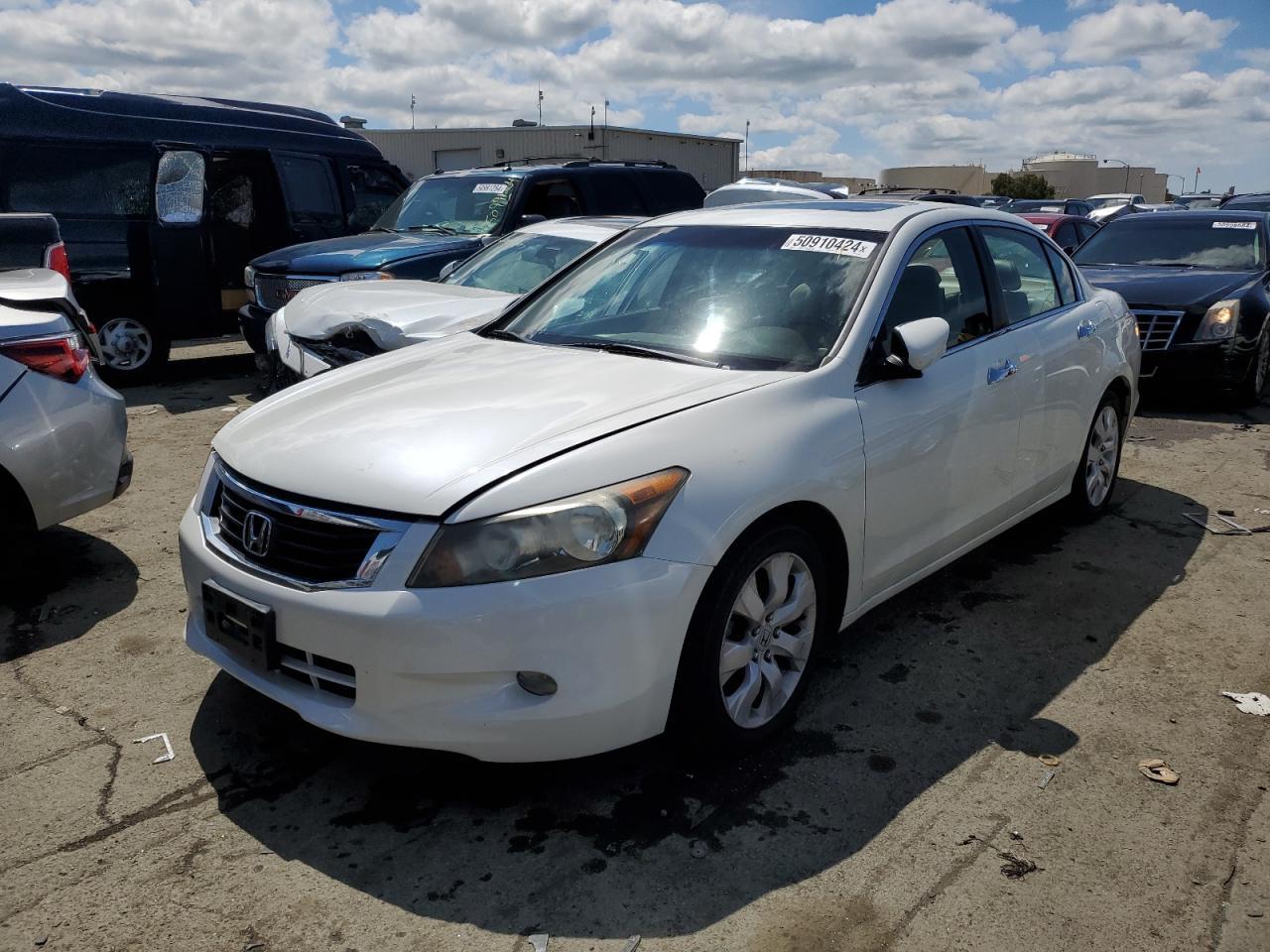 2010 HONDA ACCORD EXL