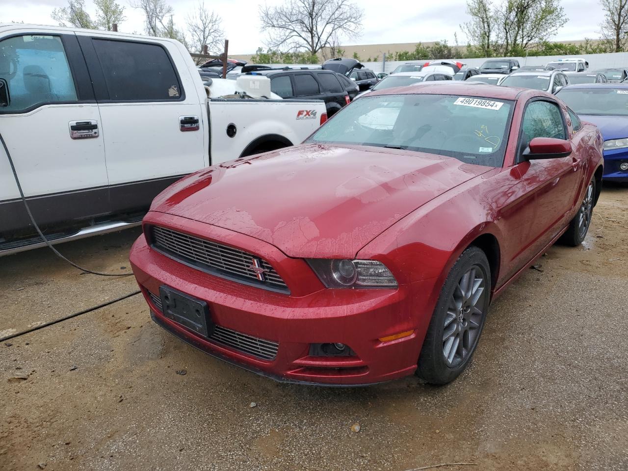 2014 FORD MUSTANG car image