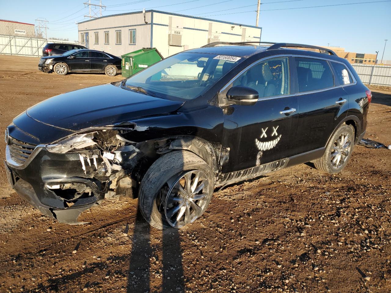 2014 MAZDA CX-9 SPORT car image