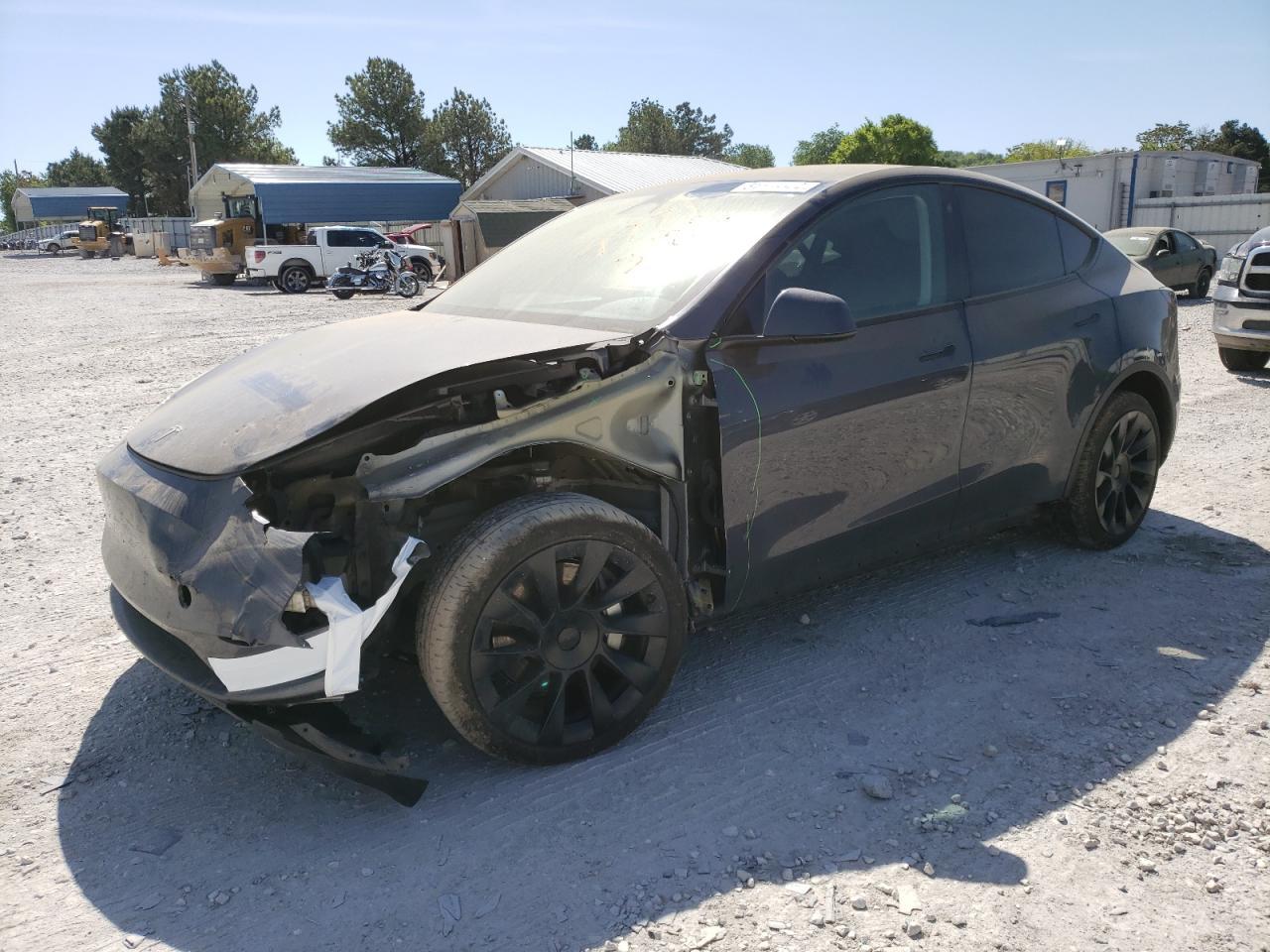 2023 TESLA MODEL Y car image