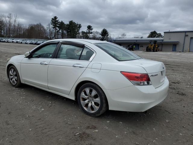 2010 Honda Accord Exl - Image 2