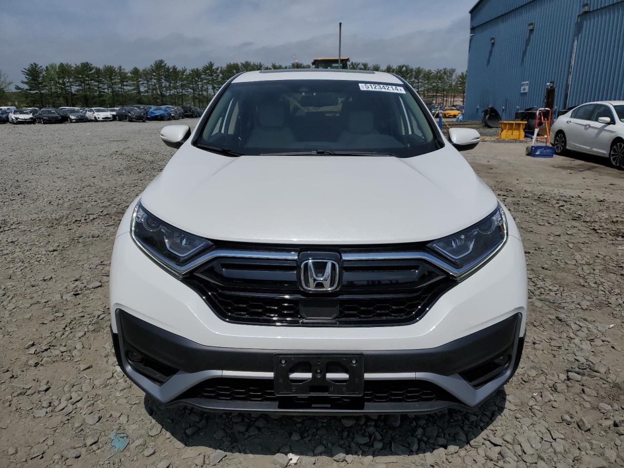 2022 HONDA CR-V EXL - Image 5