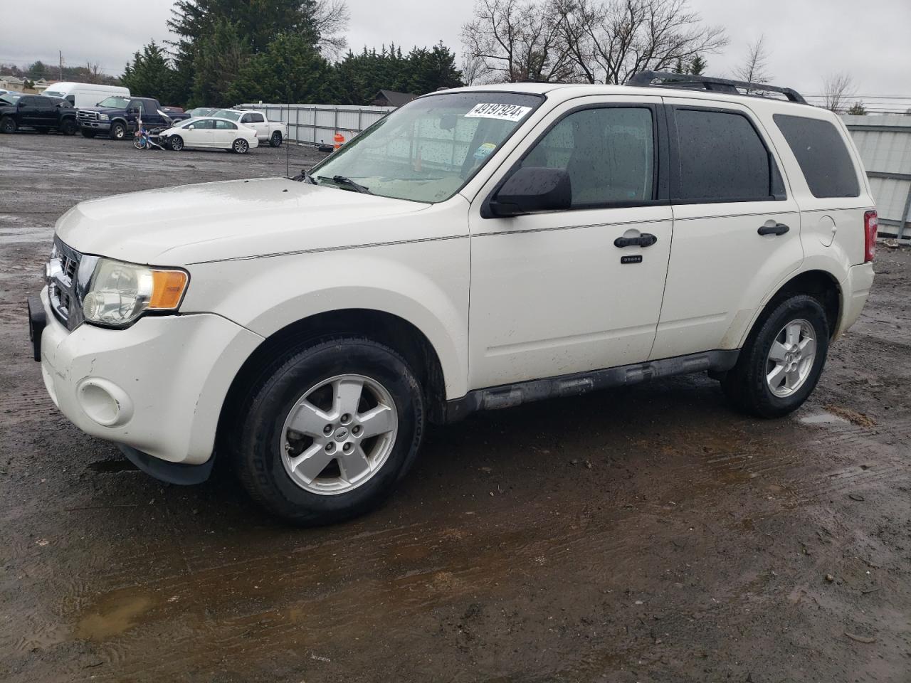 2010 FORD ESCAPE XLT