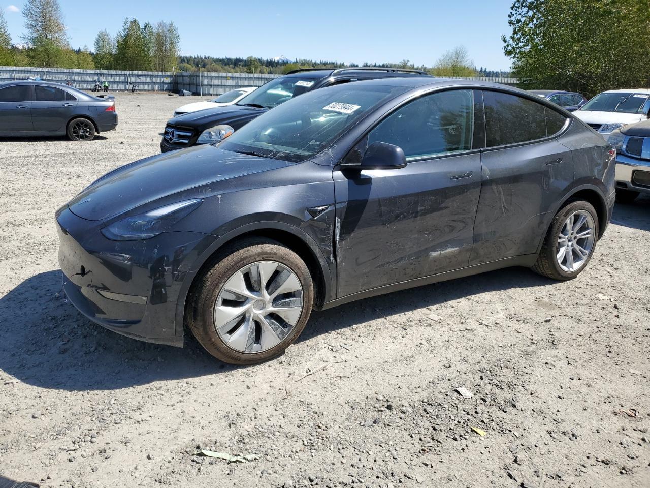 2024 TESLA MODEL Y