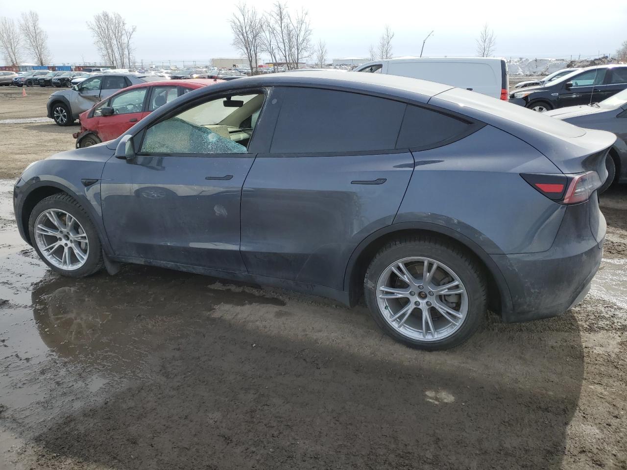 2023 TESLA MODEL Y - Фото 2