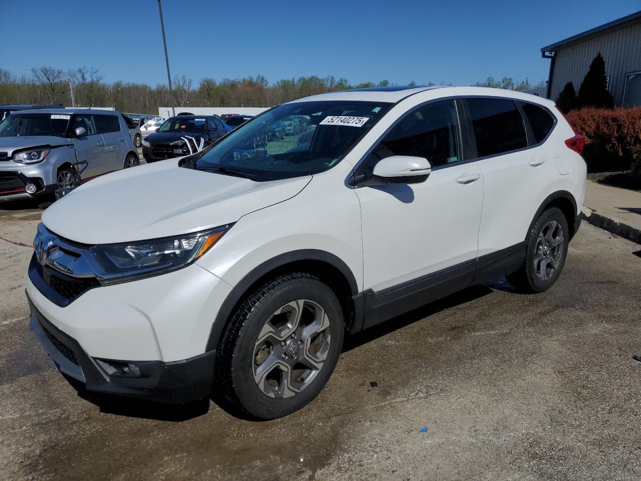 2019 HONDA CR-V EX