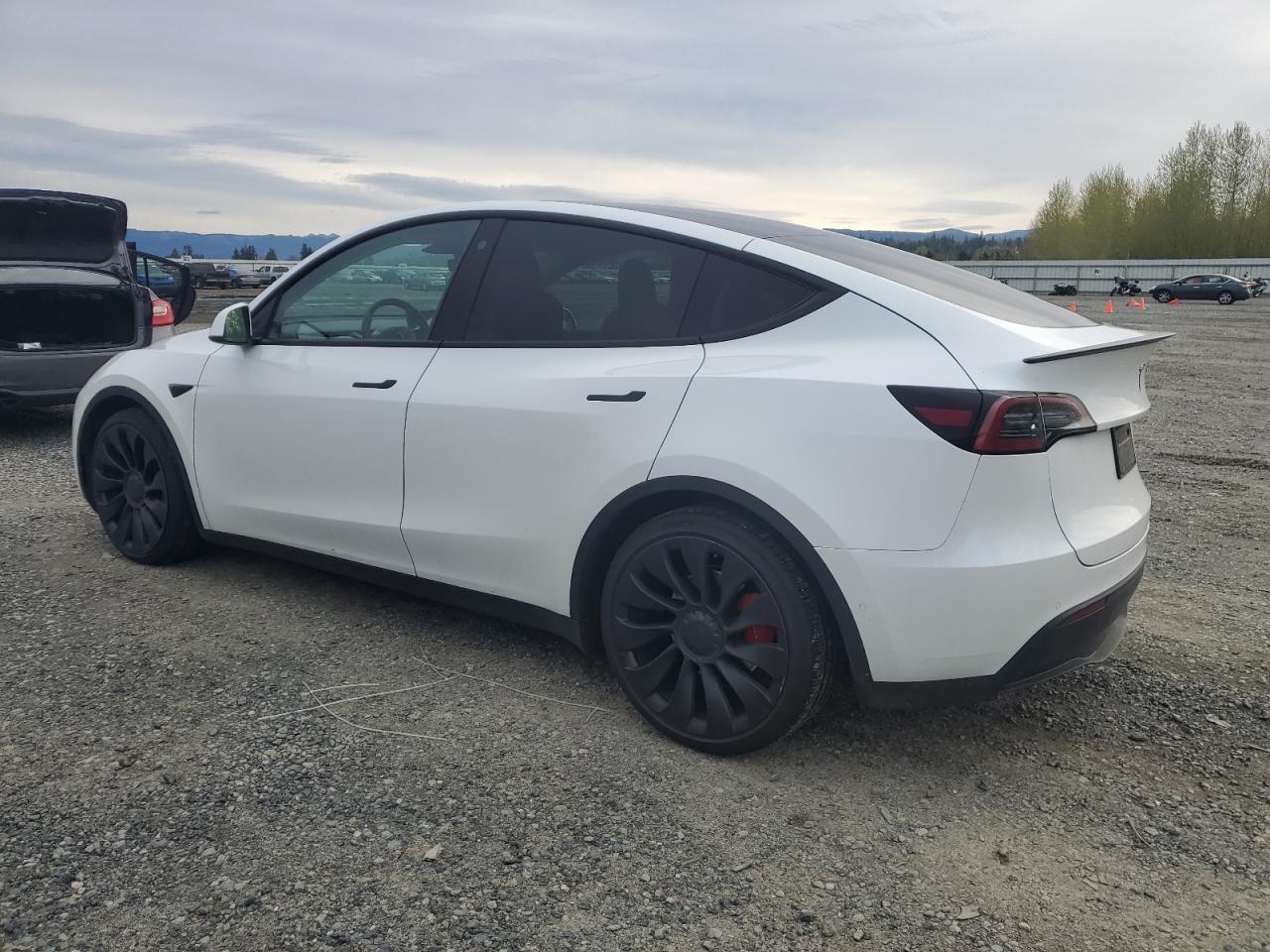 2022 TESLA MODEL Y - Image 2