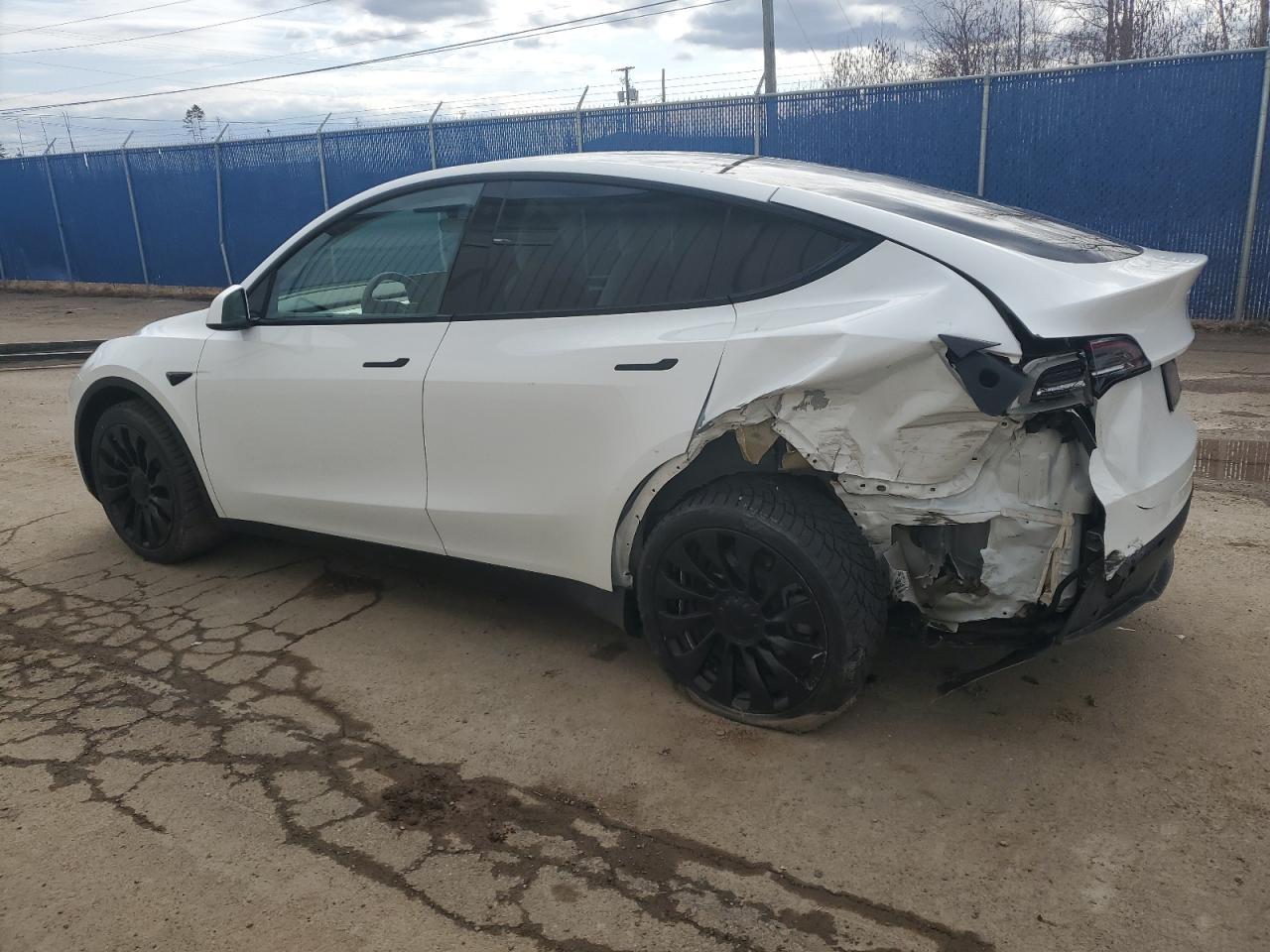 2023 TESLA MODEL Y - Фото 2