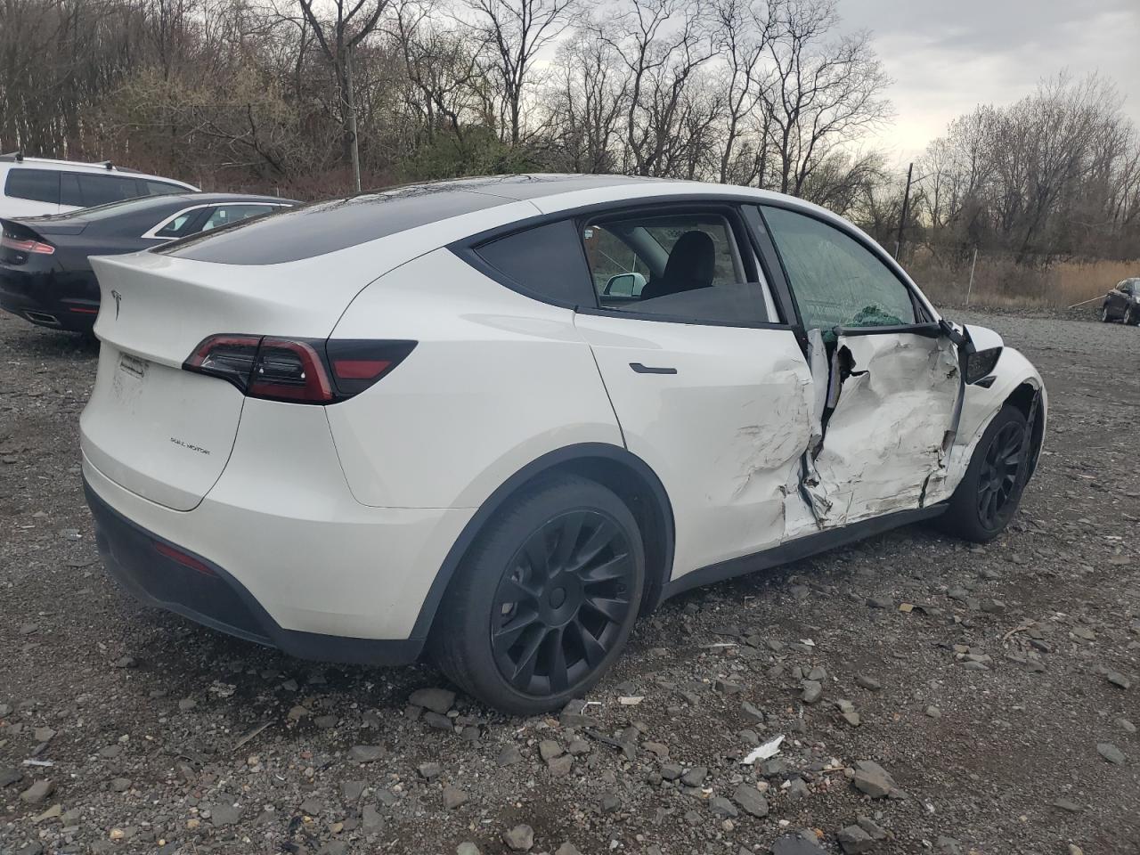 2023 TESLA MODEL Y - Фото 3