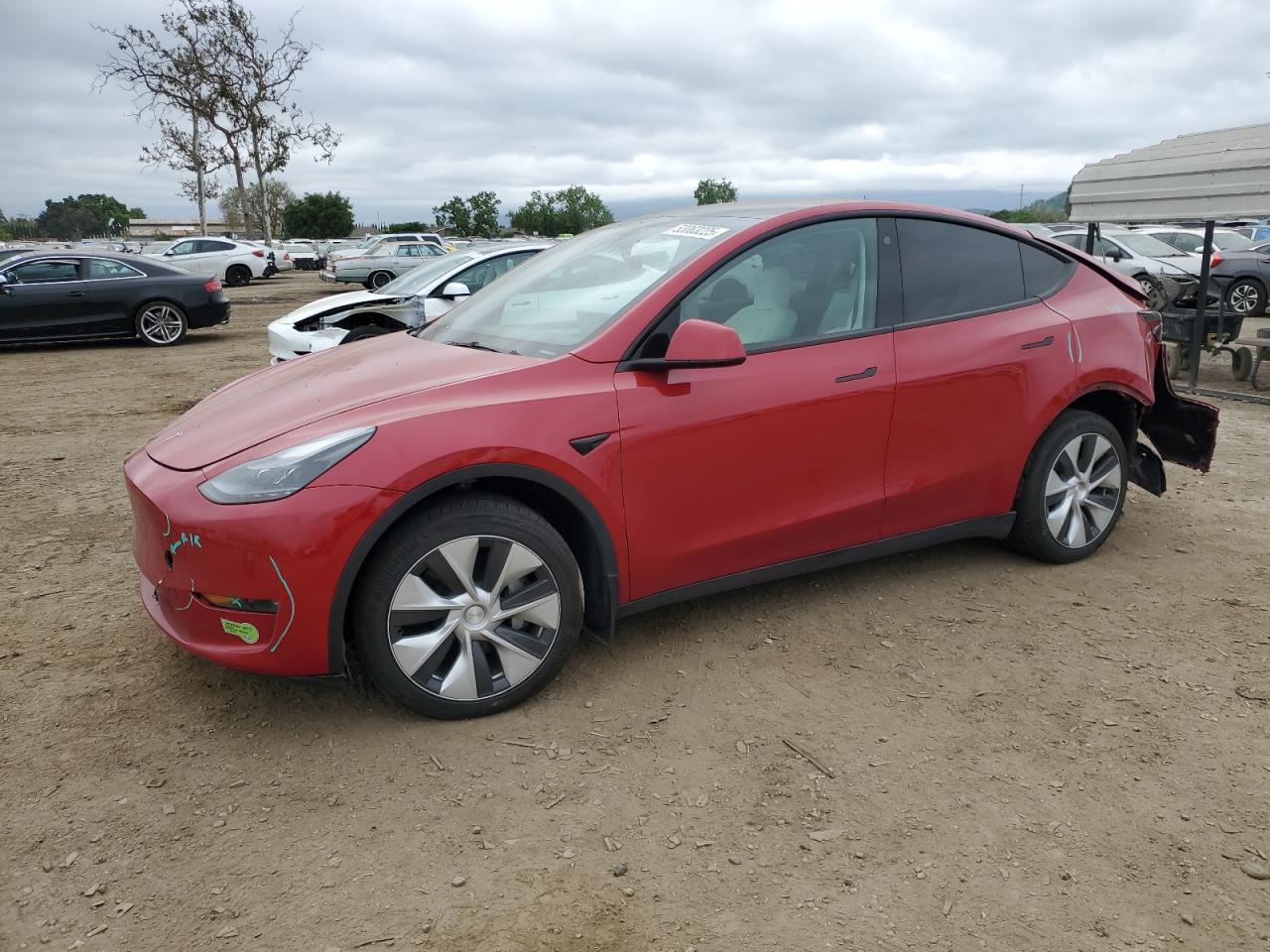 2023 TESLA MODEL Y