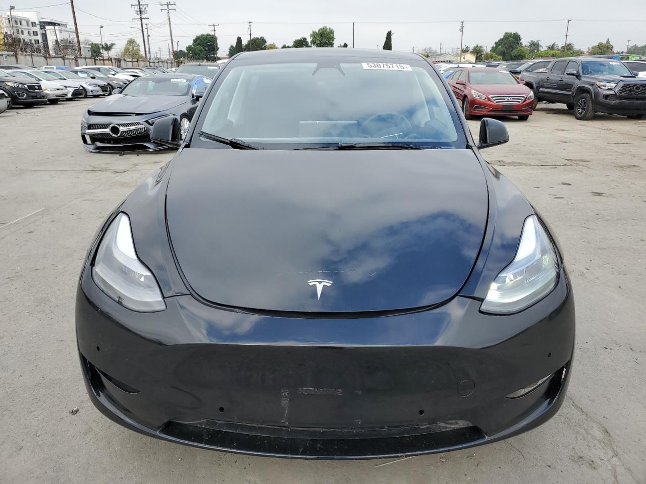 2024 TESLA MODEL Y - Image 5