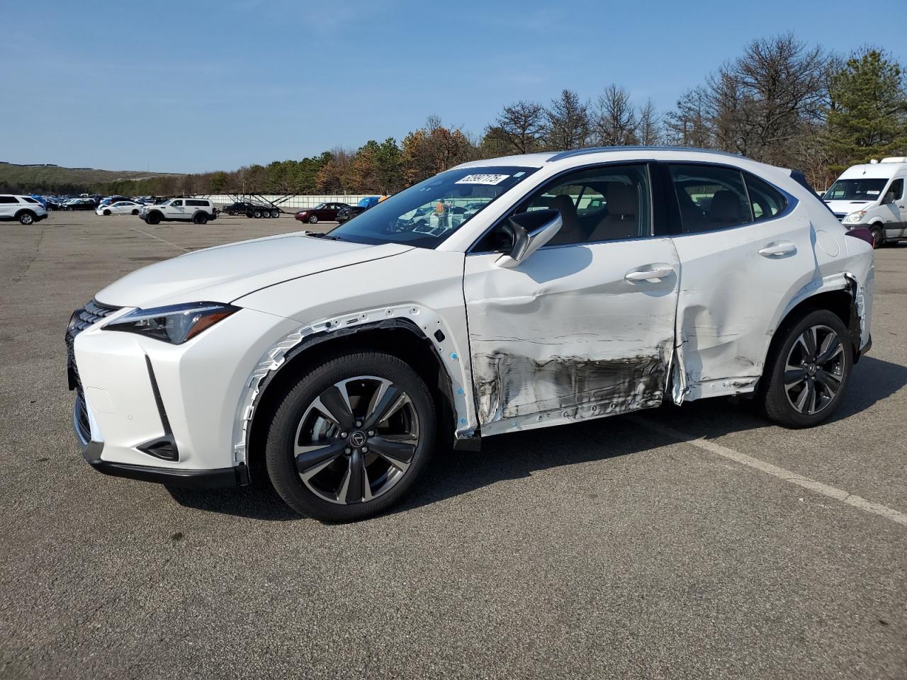 2025 LEXUS UX 300H BA