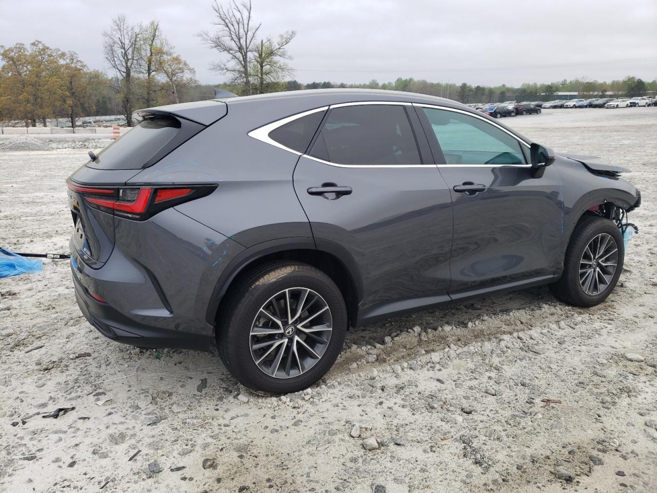 2024 LEXUS NX 350H BA - Фото 3