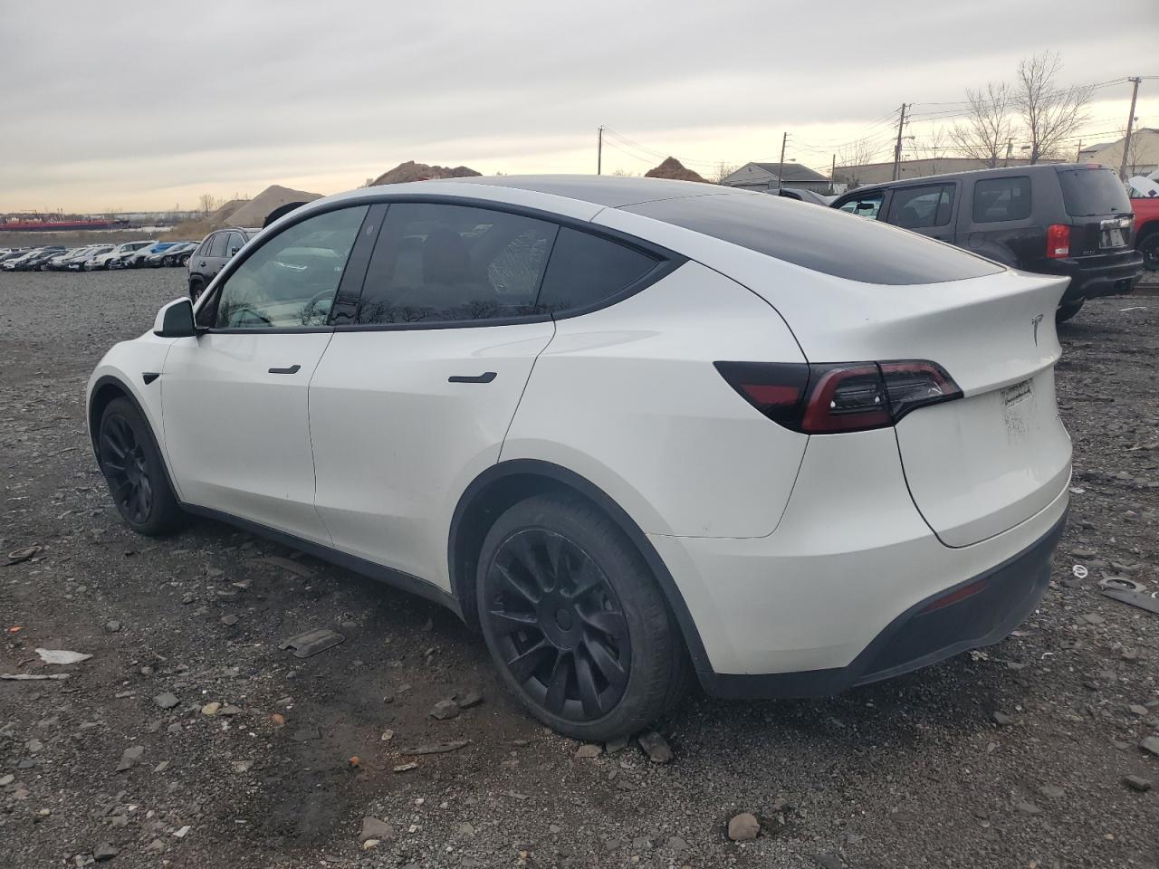 2023 TESLA MODEL Y - Фото 2
