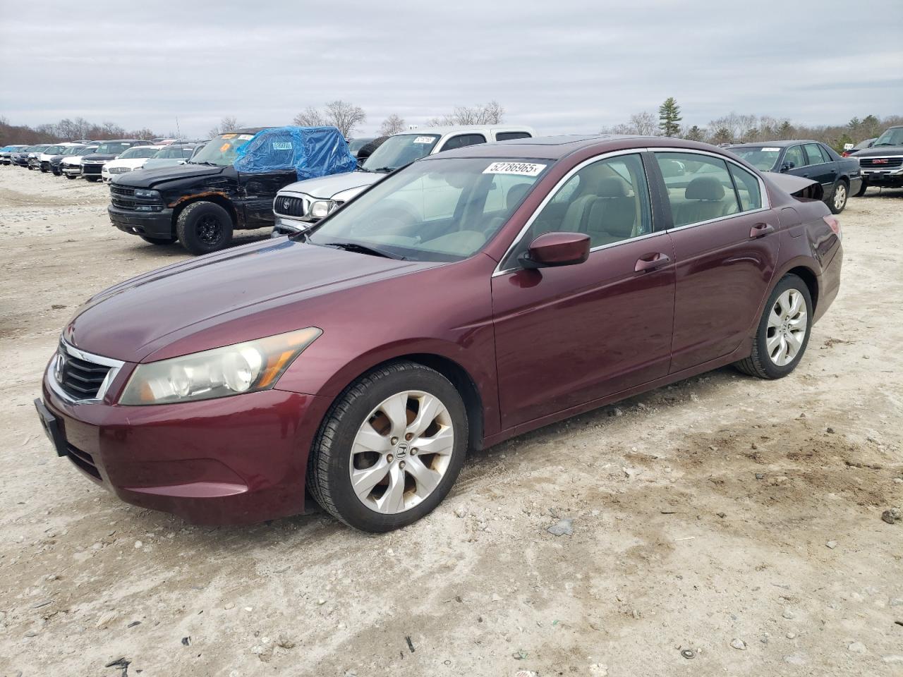 2010 HONDA ACCORD EXL