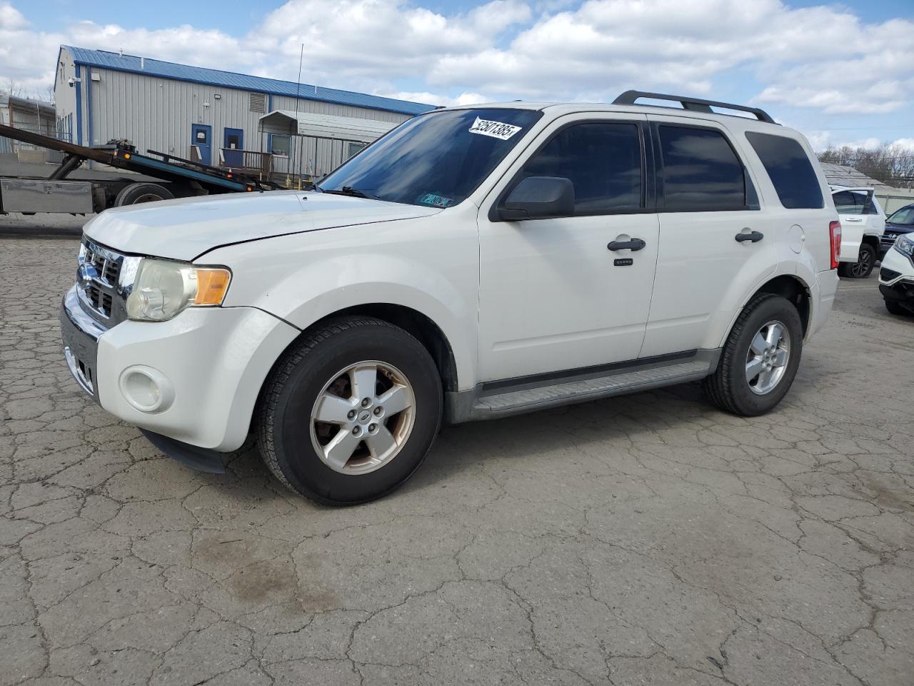 2010 FORD ESCAPE XLT