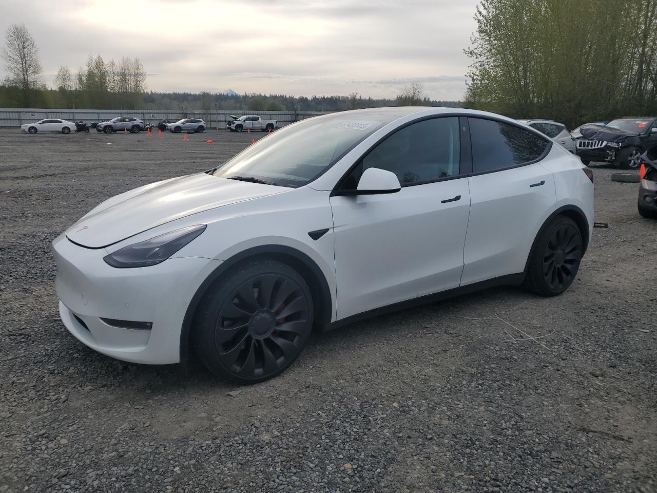 2022 TESLA MODEL Y