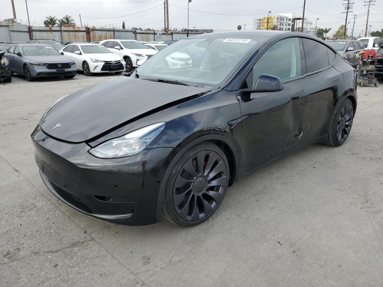 2024 TESLA MODEL Y