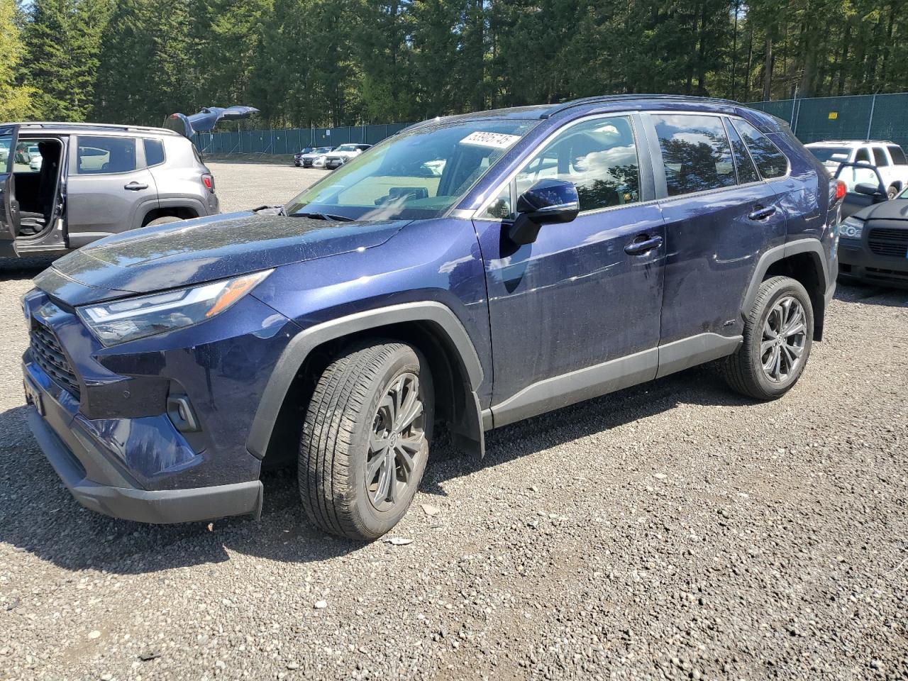 2024 TOYOTA RAV4 XLE P