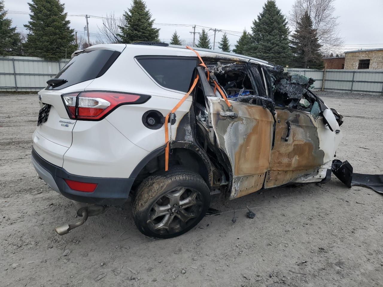 2017 FORD ESCAPE TIT - Image 3