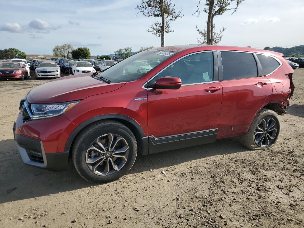 2020 HONDA CR-V EXL