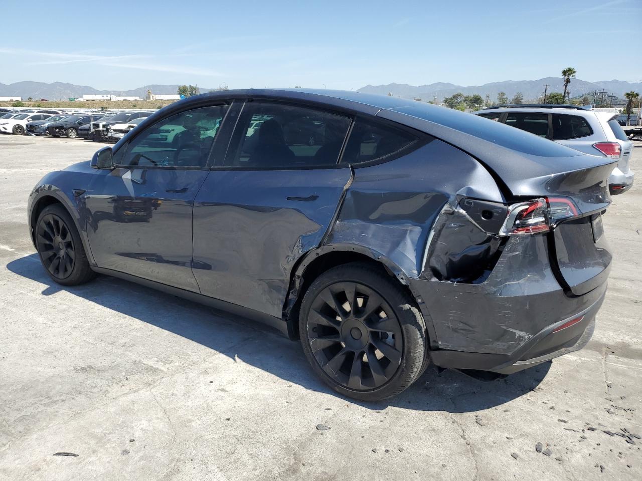 2023 TESLA MODEL Y - Фото 2