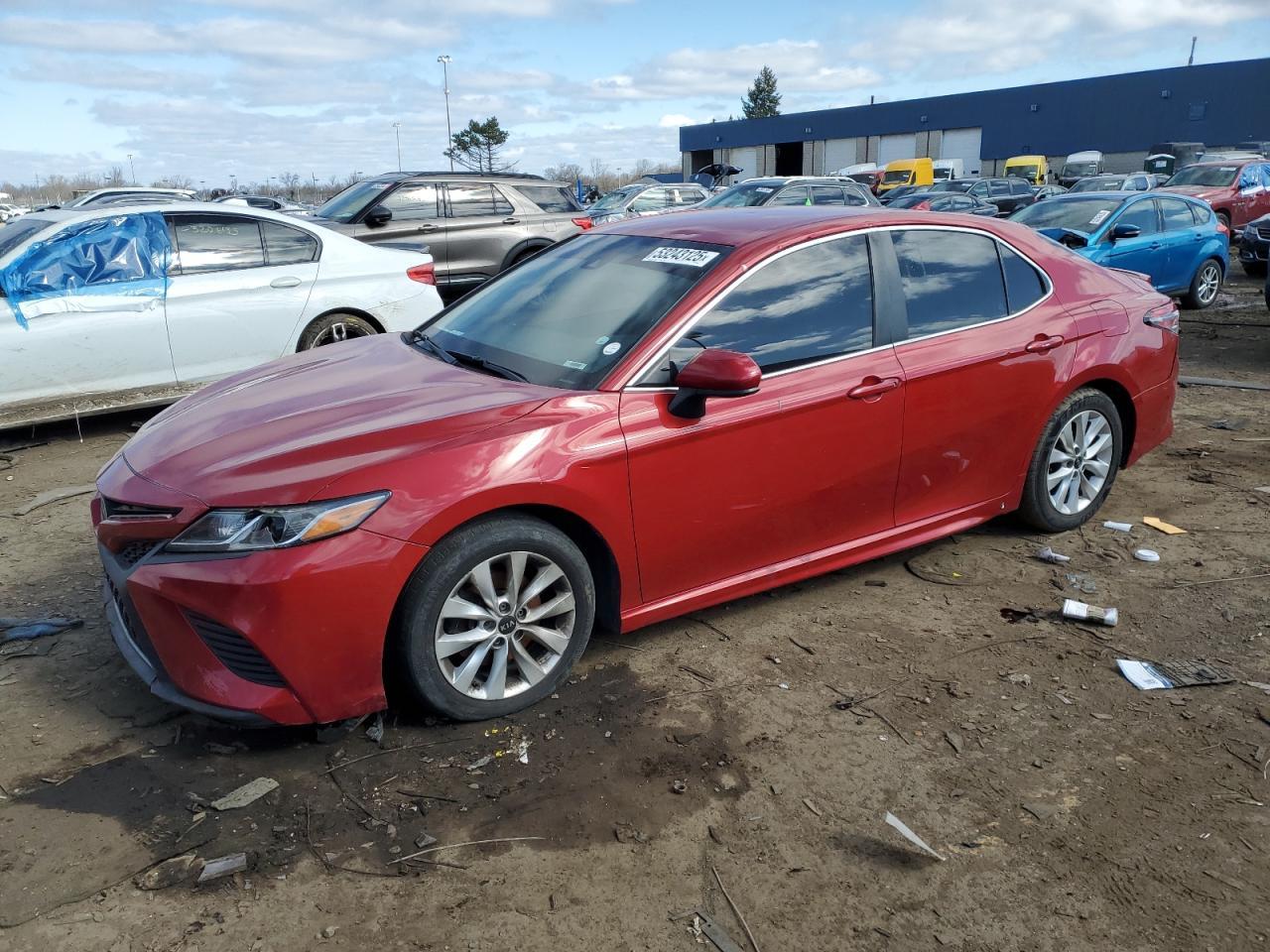 2019 TOYOTA CAMRY L