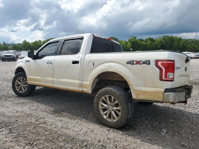 2016 Ford F150 Supercrew - Image 2