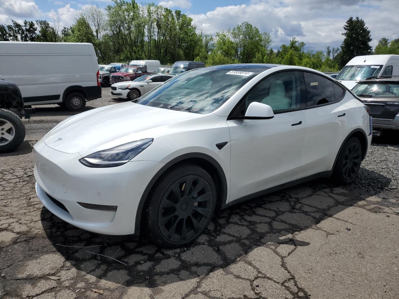 2021 TESLA MODEL Y car image