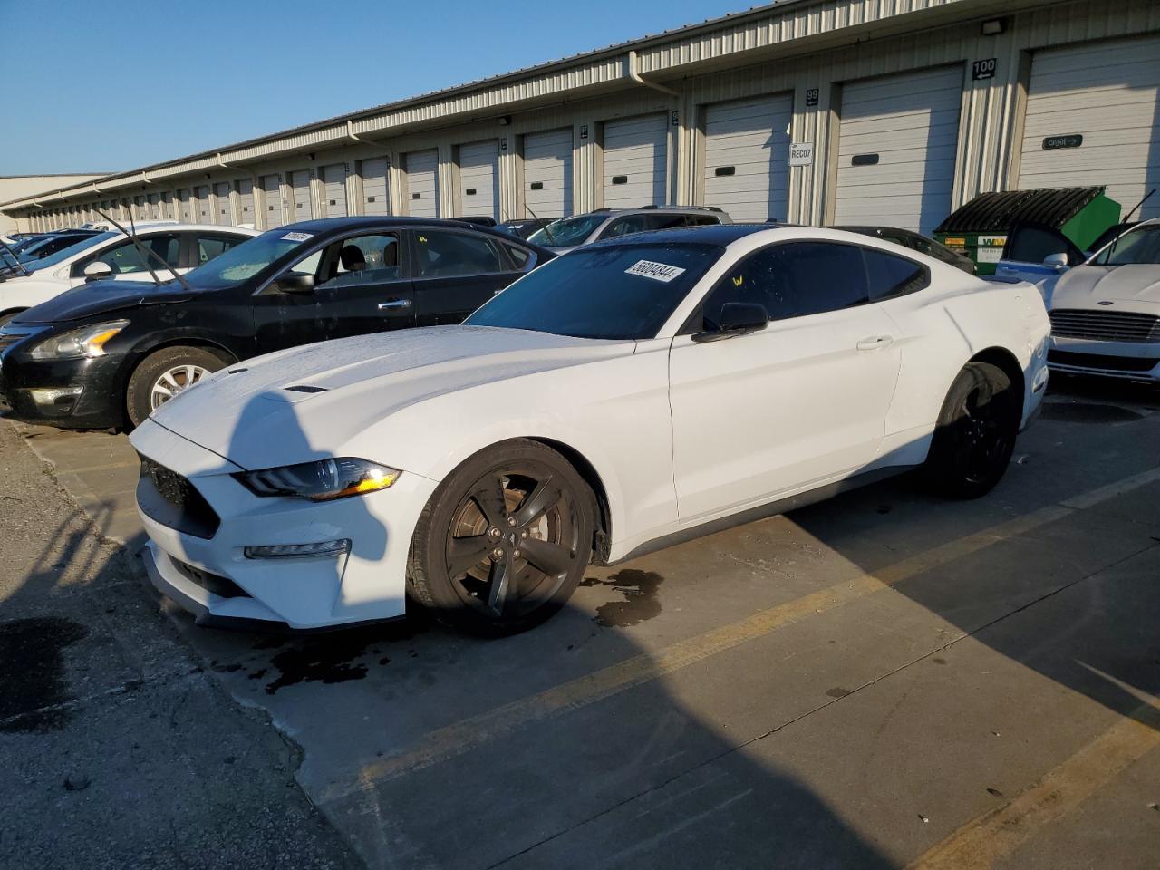 2021 FORD MUSTANG car image