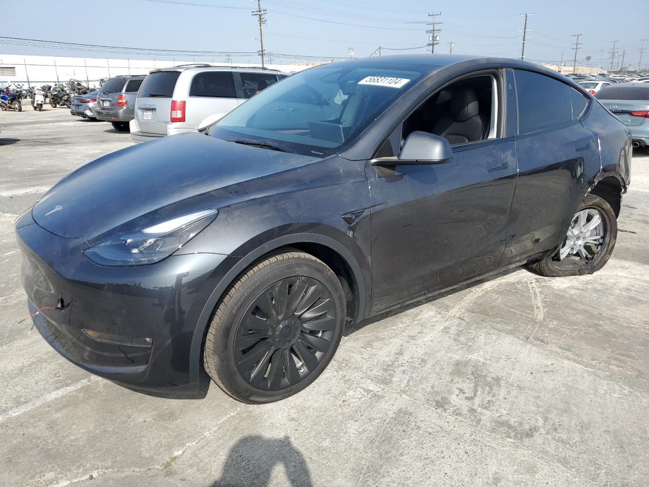 2024 TESLA MODEL Y car image