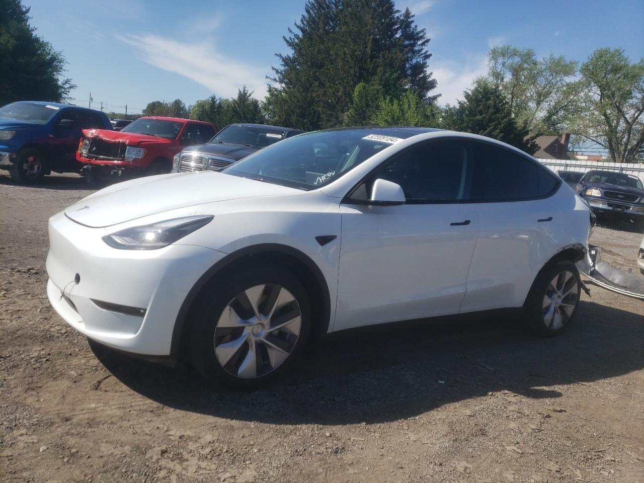 2023 TESLA MODEL Y car image