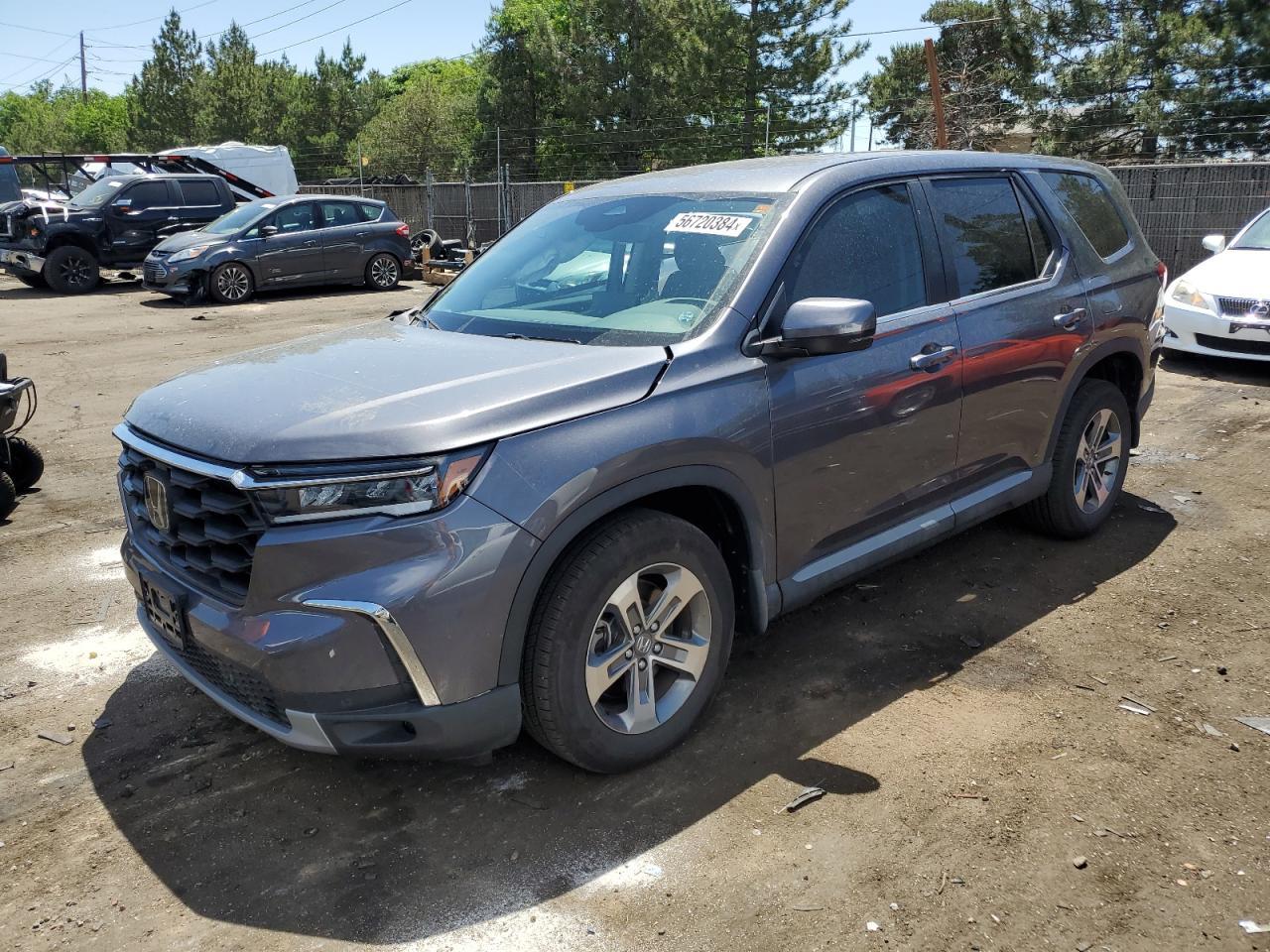 2024 HONDA PILOT EXL