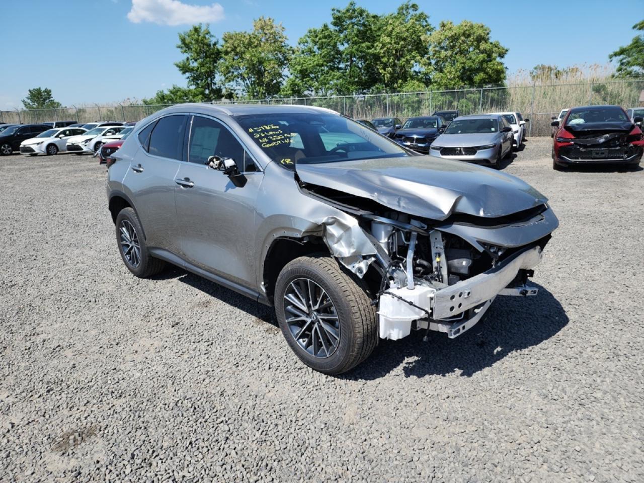 2023 LEXUS NX 350 - Image 3