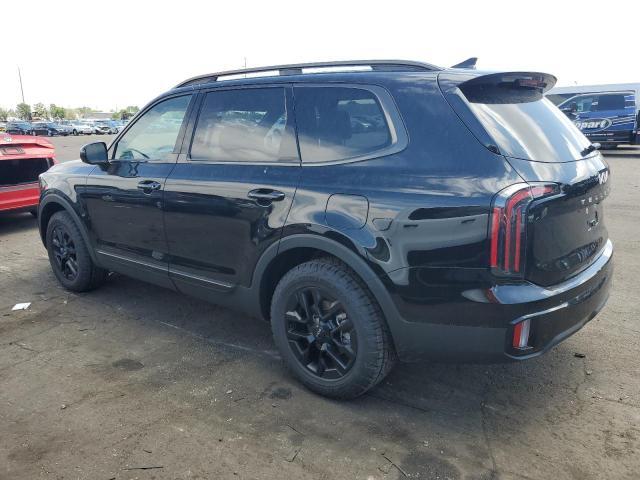 2024 Kia Telluride Sx - Фото 2