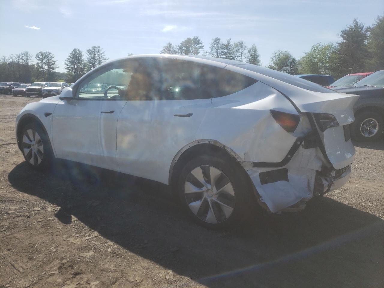 2023 TESLA MODEL Y - Фото 2