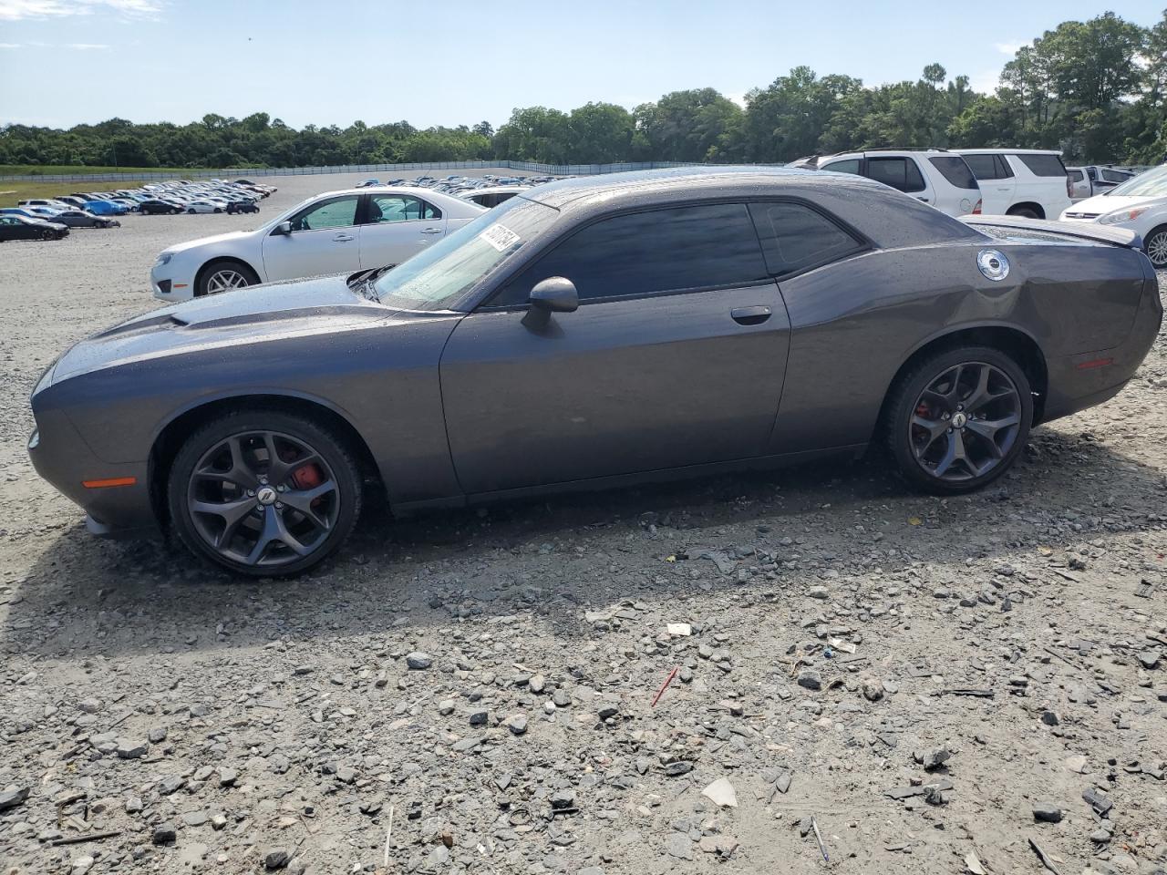 2019 DODGE CHALLENGER car image