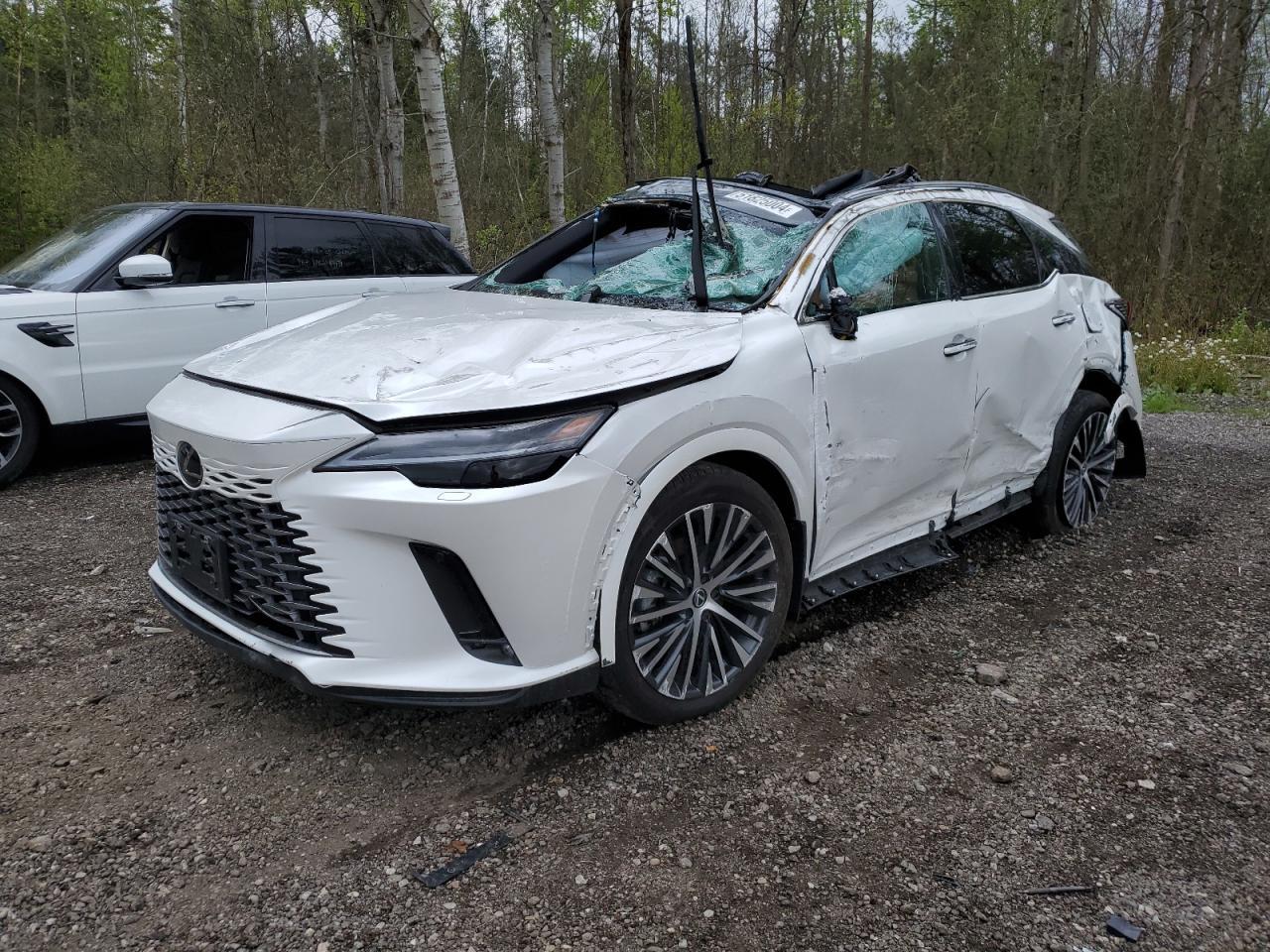 2023 LEXUS RX 350H BA car image