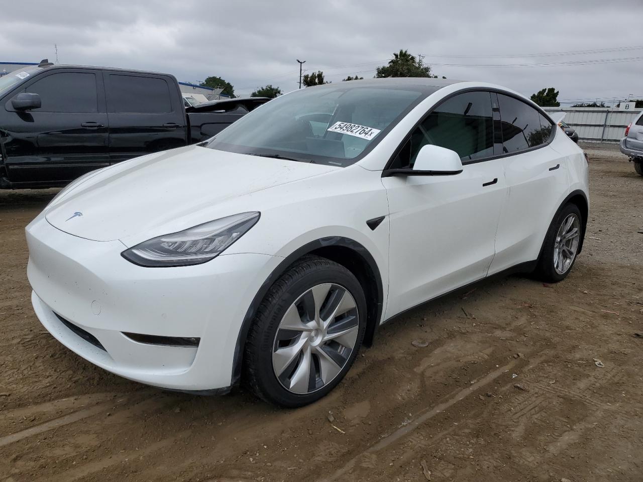 2021 TESLA MODEL Y car image