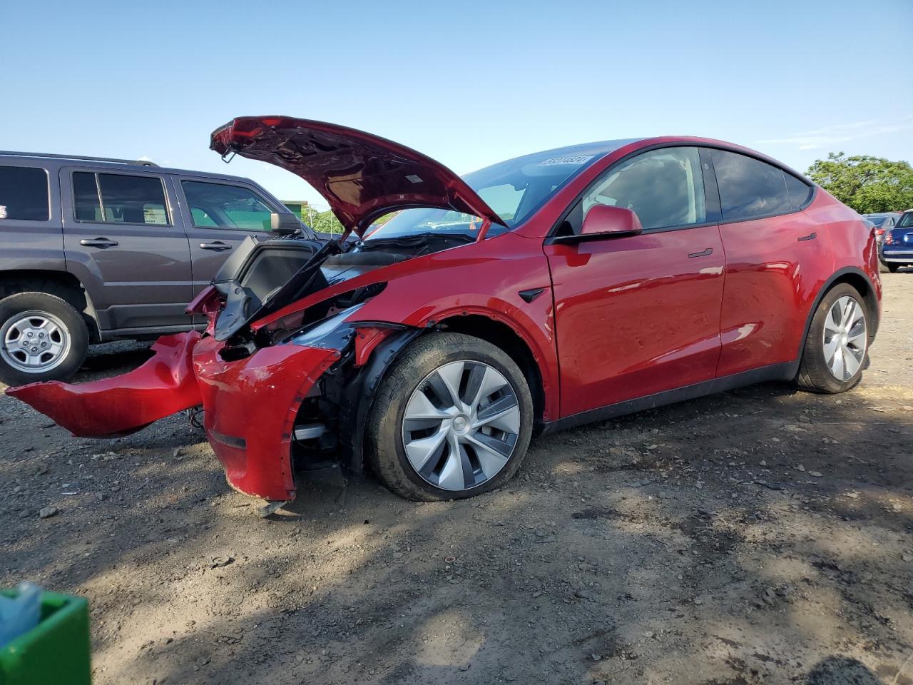 2023 TESLA MODEL Y car image