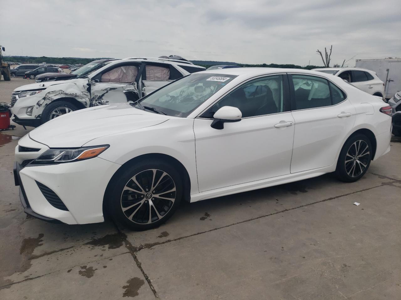 2019 TOYOTA CAMRY L car image