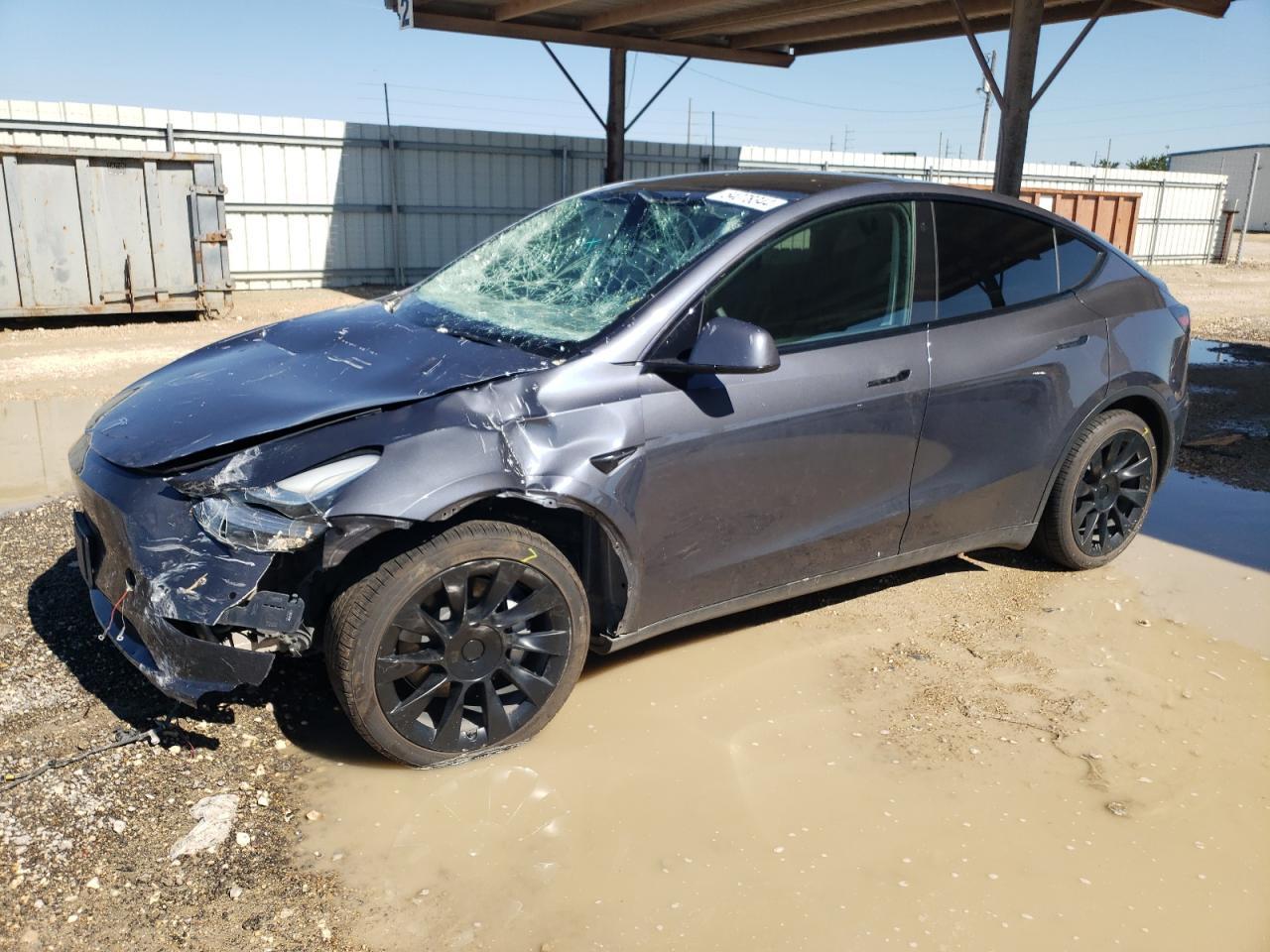 2022 TESLA MODEL Y car image