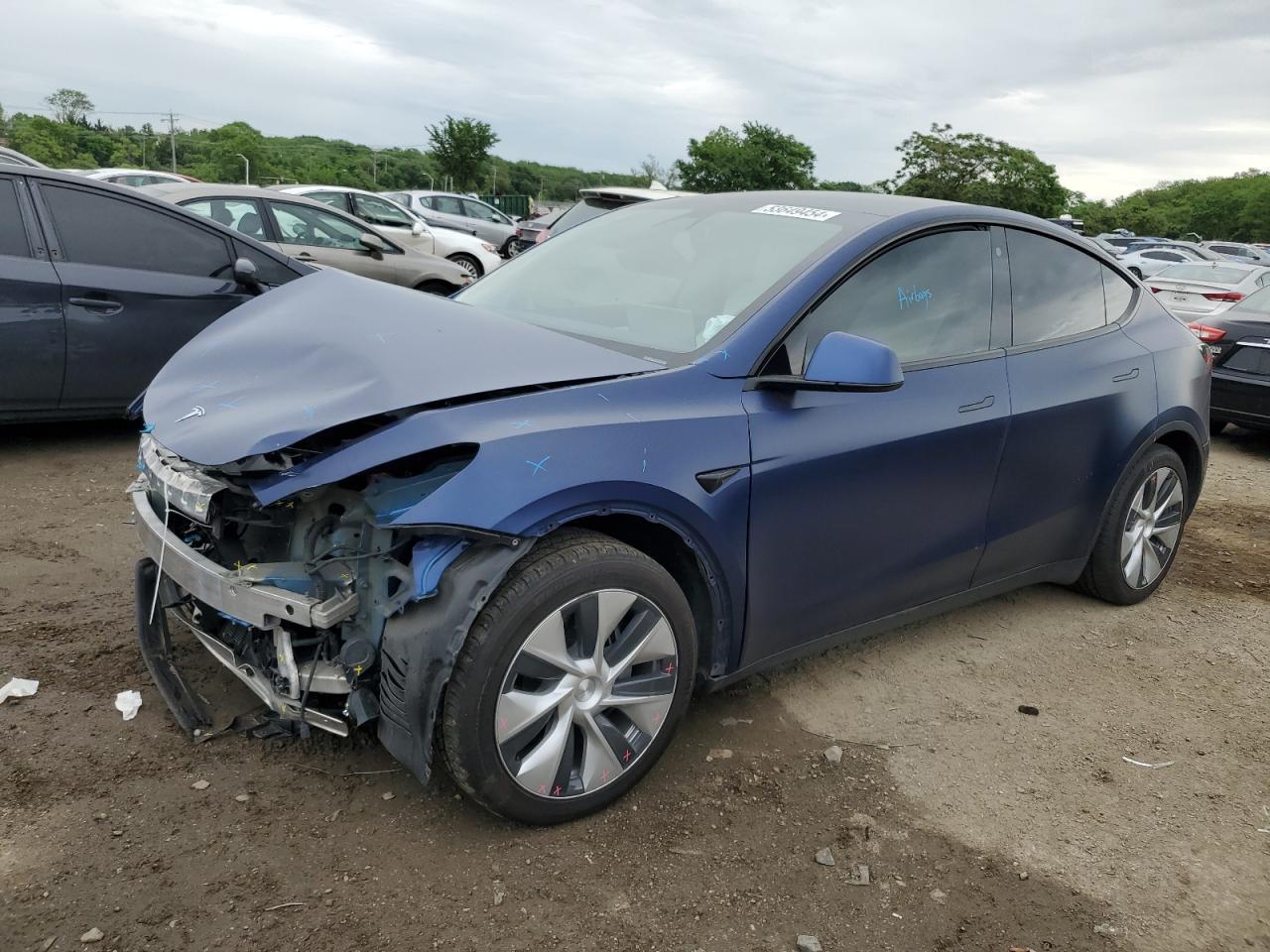 2022 TESLA MODEL Y car image