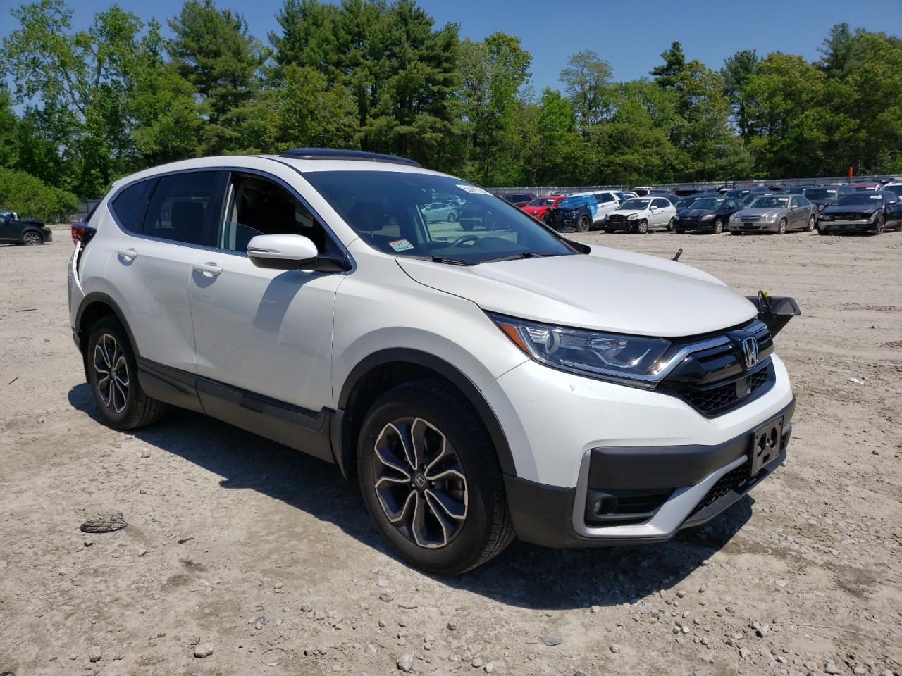 2020 HONDA CR-V EXL - Фото 4