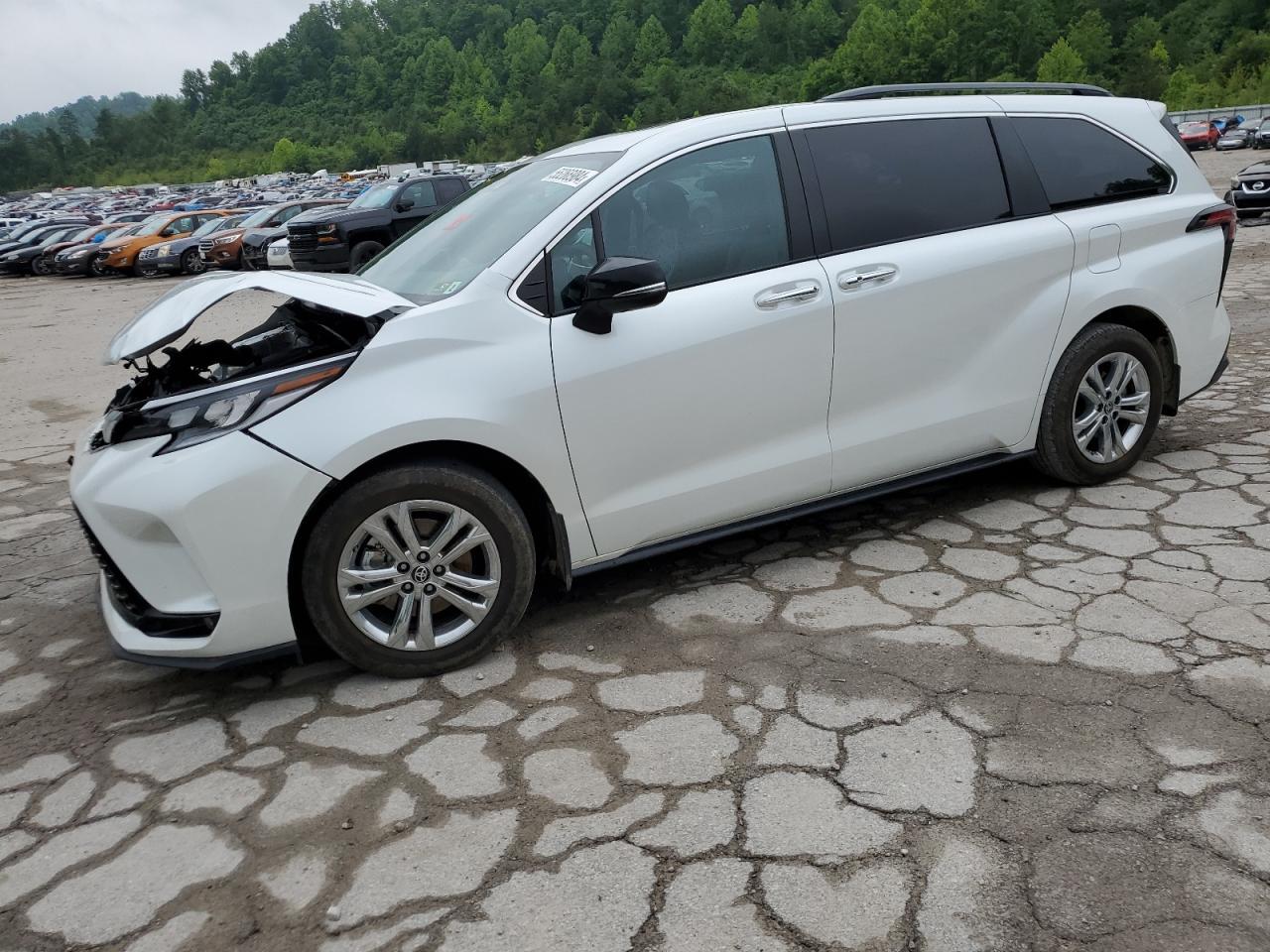 2023 TOYOTA SIENNA XSE car image