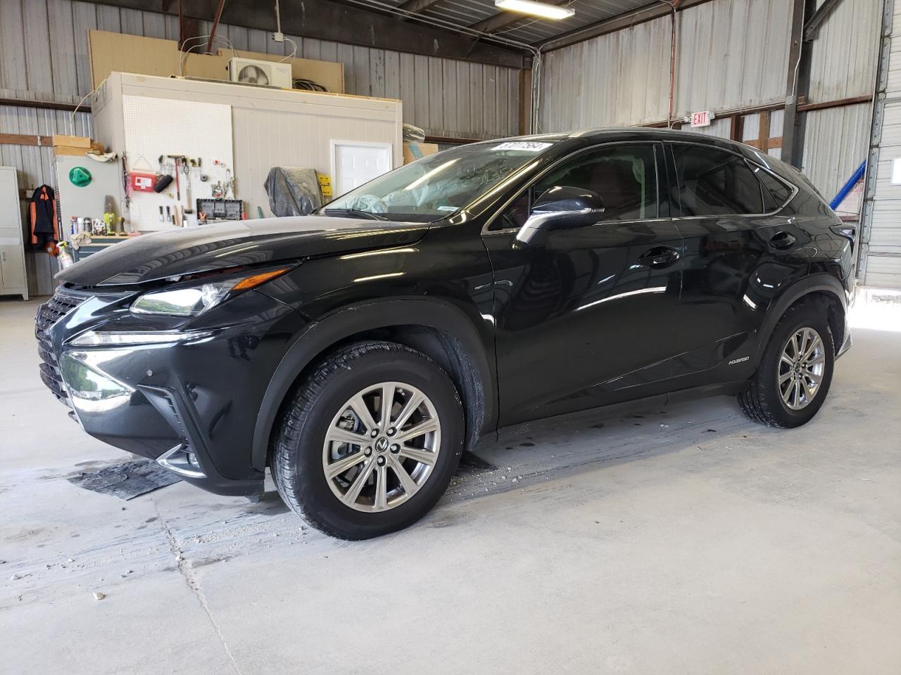 2020 LEXUS NX 300H car image