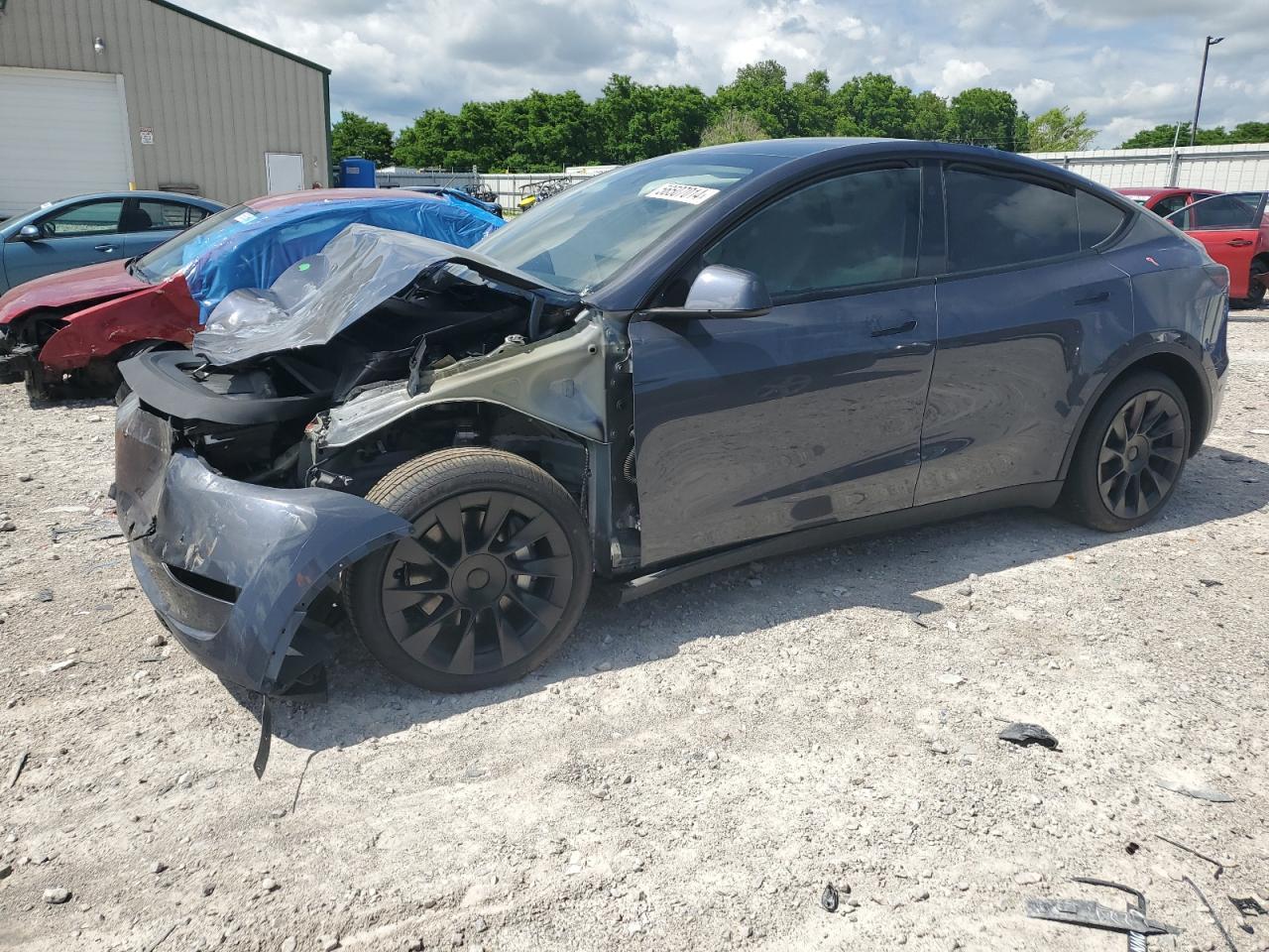 2023 TESLA MODEL Y car image