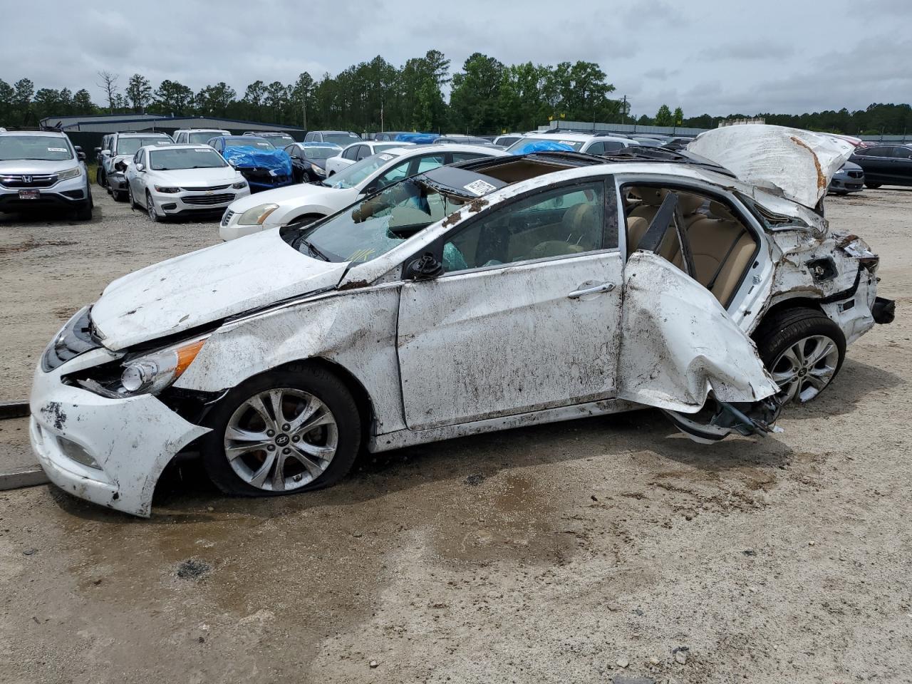 2013 HYUNDAI SONATA SE