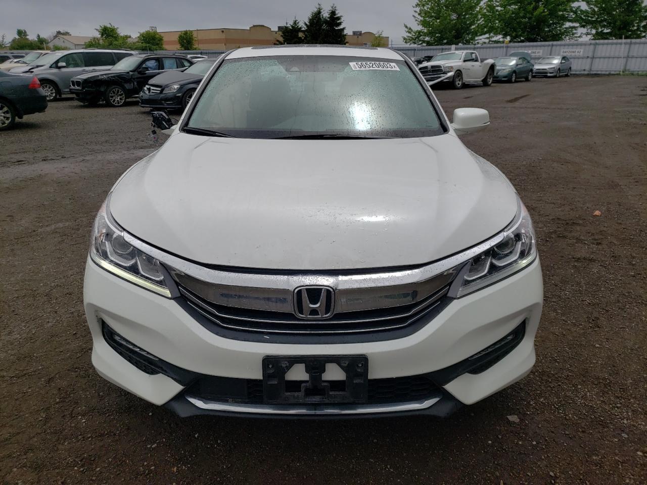 2016 HONDA ACCORD EXL - Фото 5