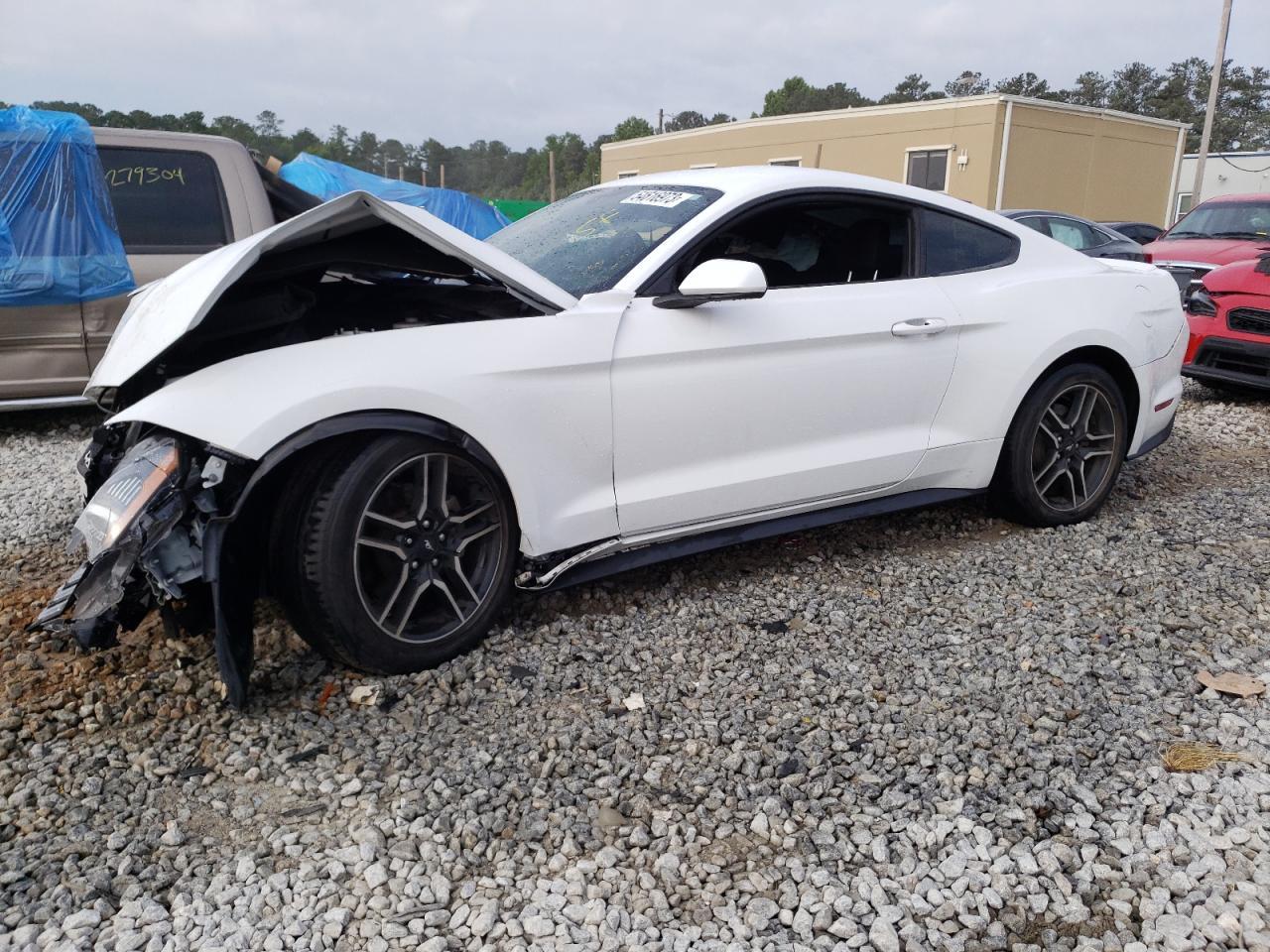 2019 FORD MUSTANG car image